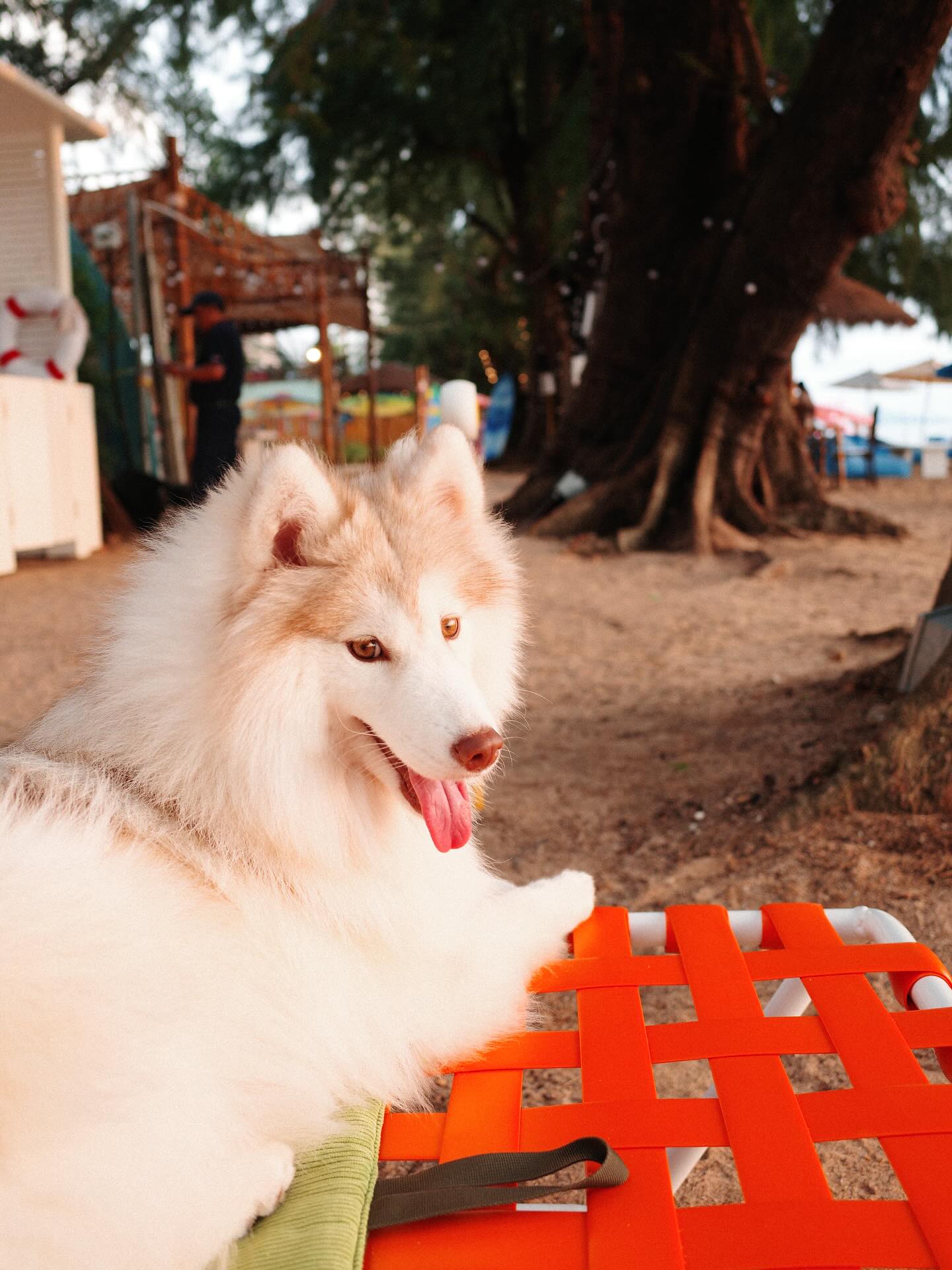 แพนเค้ก - เขมนิจ จามิกรณ์