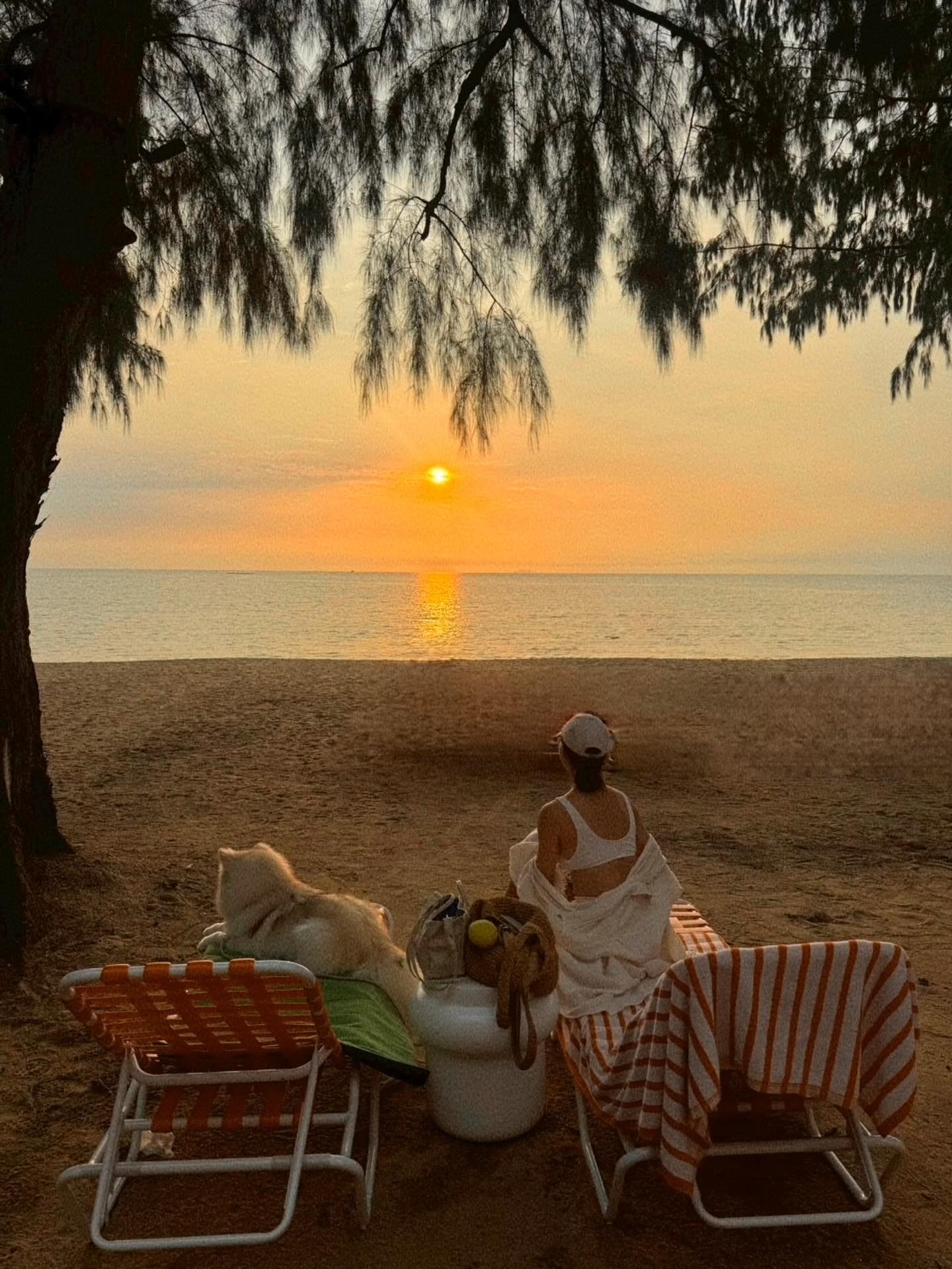 แพนเค้ก - เขมนิจ จามิกรณ์