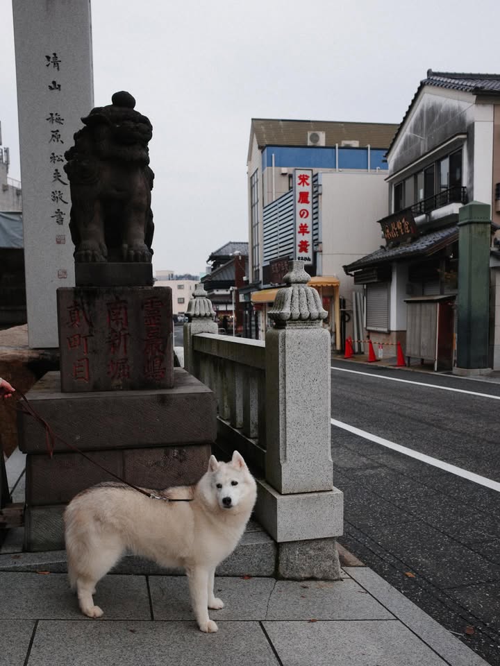 แพนเค้ก - เขมนิจ จามิกรณ์