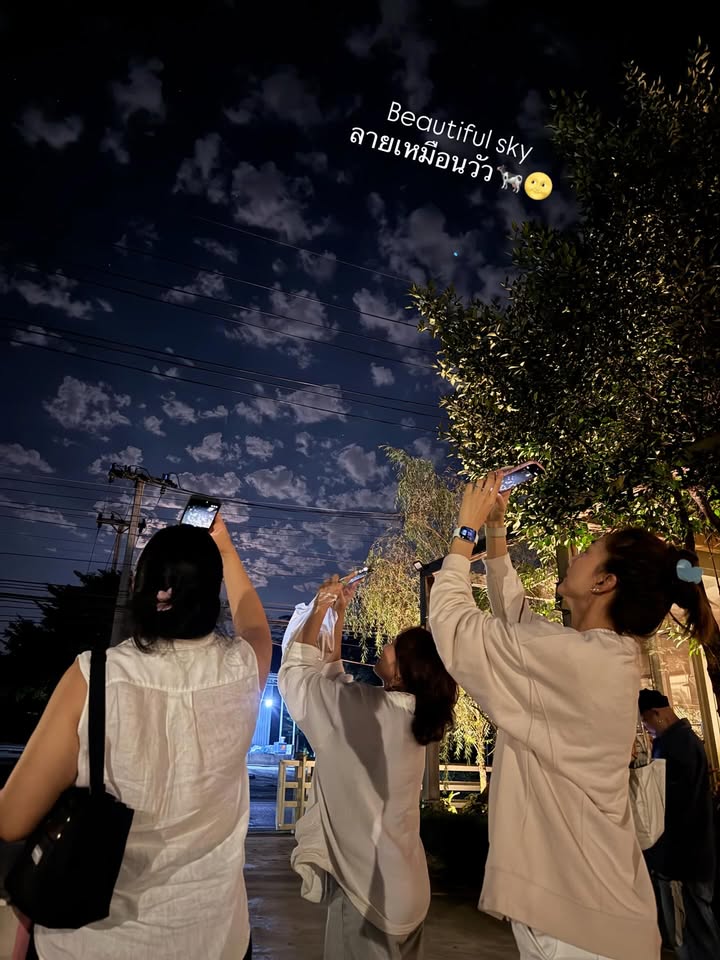 แพนเค้ก - เขมนิจ จามิกรณ์