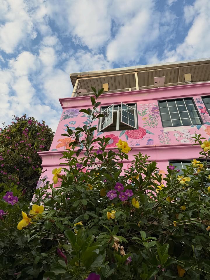 แพนเค้ก - เขมนิจ จามิกรณ์