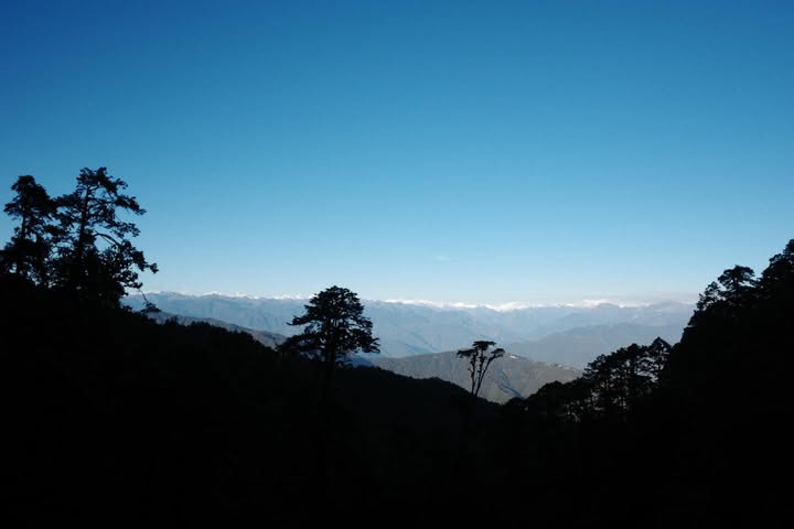 แพนเค้ก - เขมนิจ จามิกรณ์