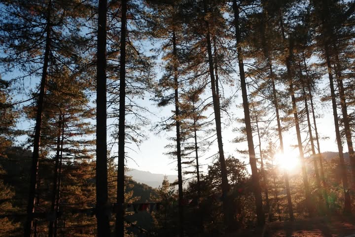 แพนเค้ก - เขมนิจ จามิกรณ์