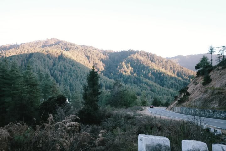 แพนเค้ก - เขมนิจ จามิกรณ์