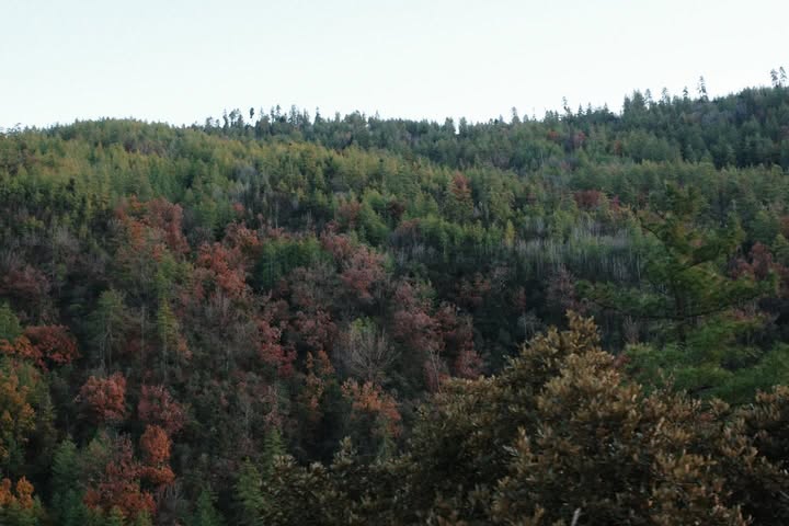 แพนเค้ก - เขมนิจ จามิกรณ์