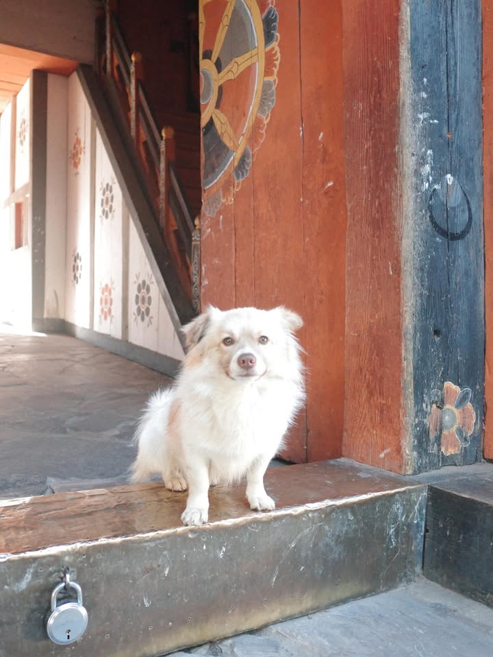 แพนเค้ก - เขมนิจ จามิกรณ์