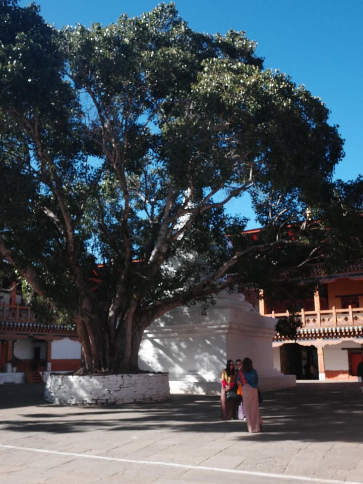 แพนเค้ก - เขมนิจ จามิกรณ์