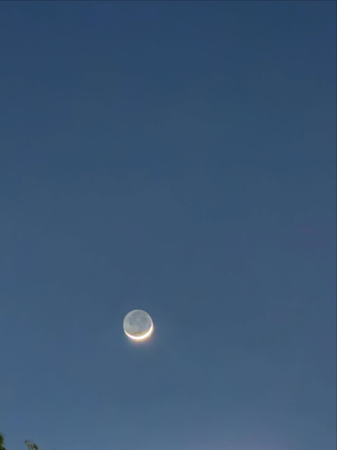 แพนเค้ก - เขมนิจ จามิกรณ์