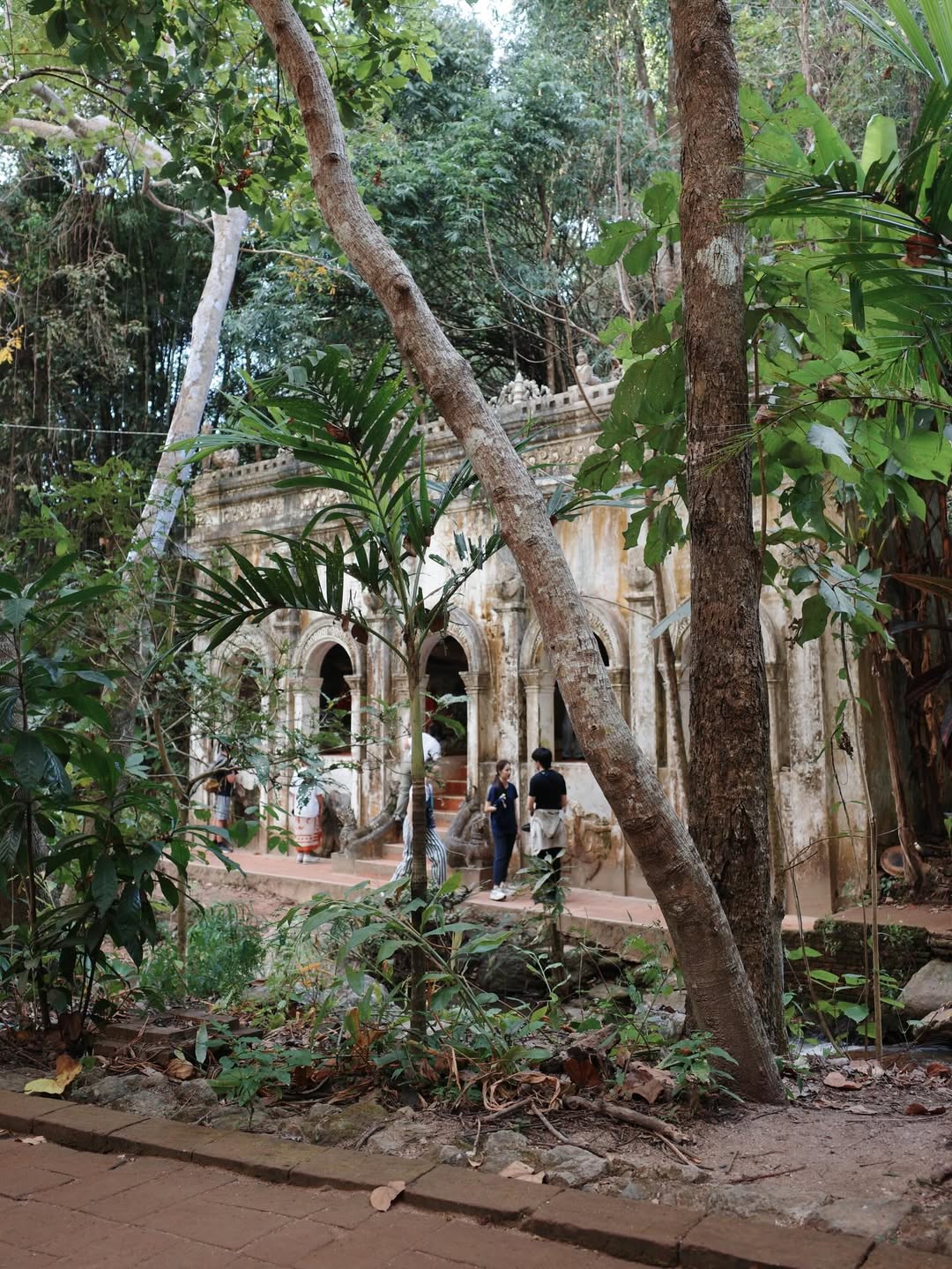 แพนเค้ก - เขมนิจ จามิกรณ์