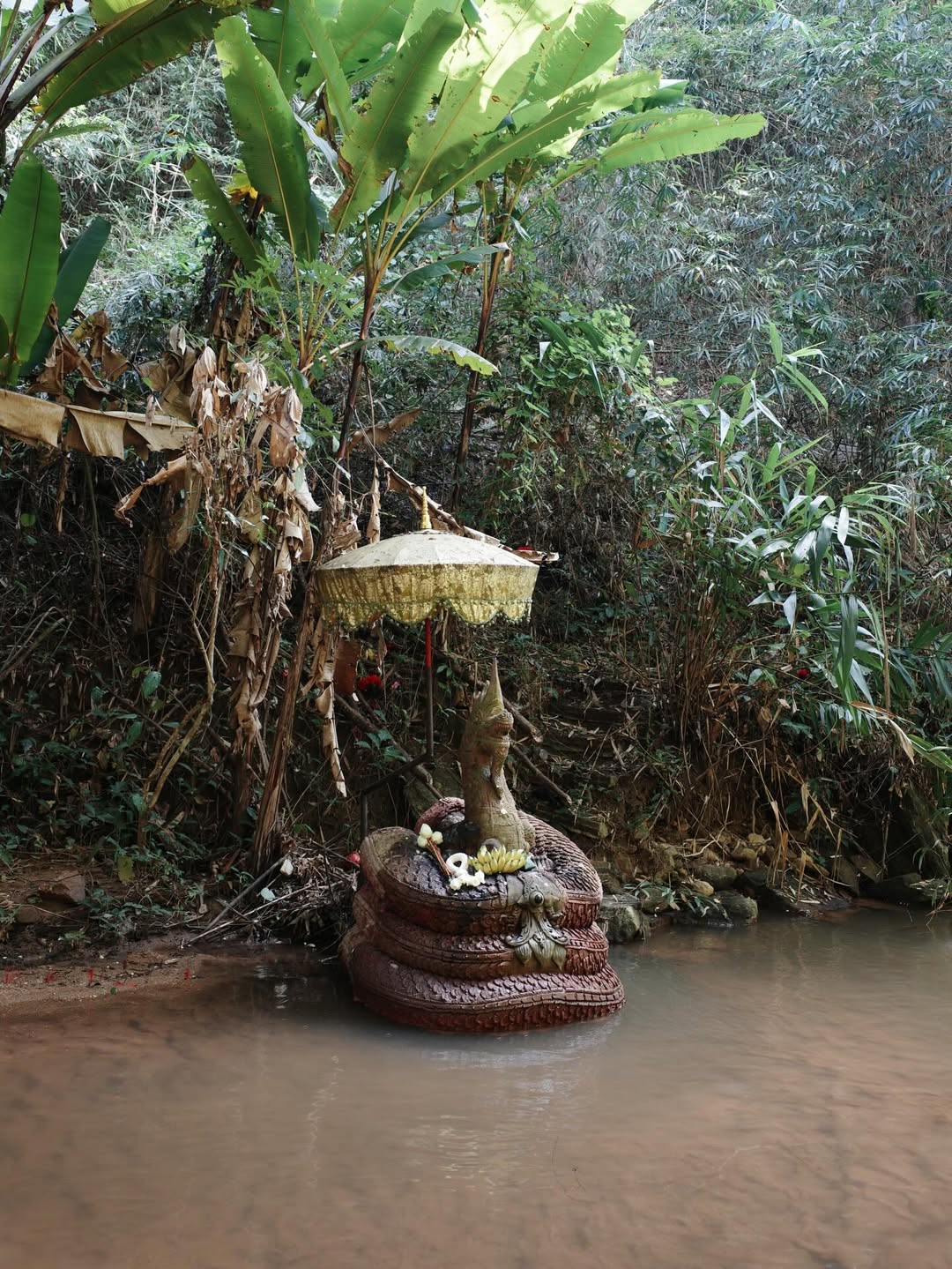 แพนเค้ก - เขมนิจ จามิกรณ์