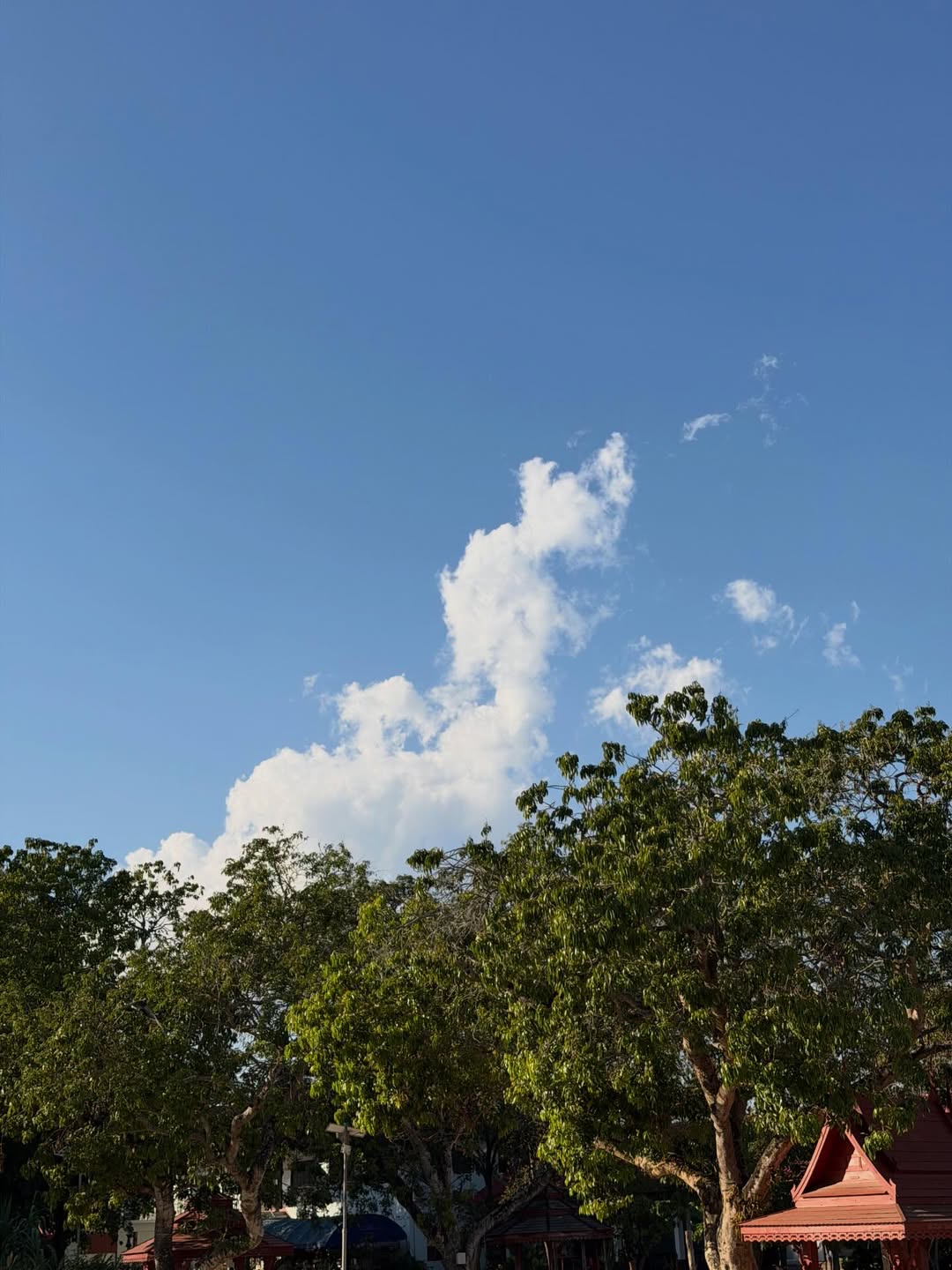 แพนเค้ก - เขมนิจ จามิกรณ์