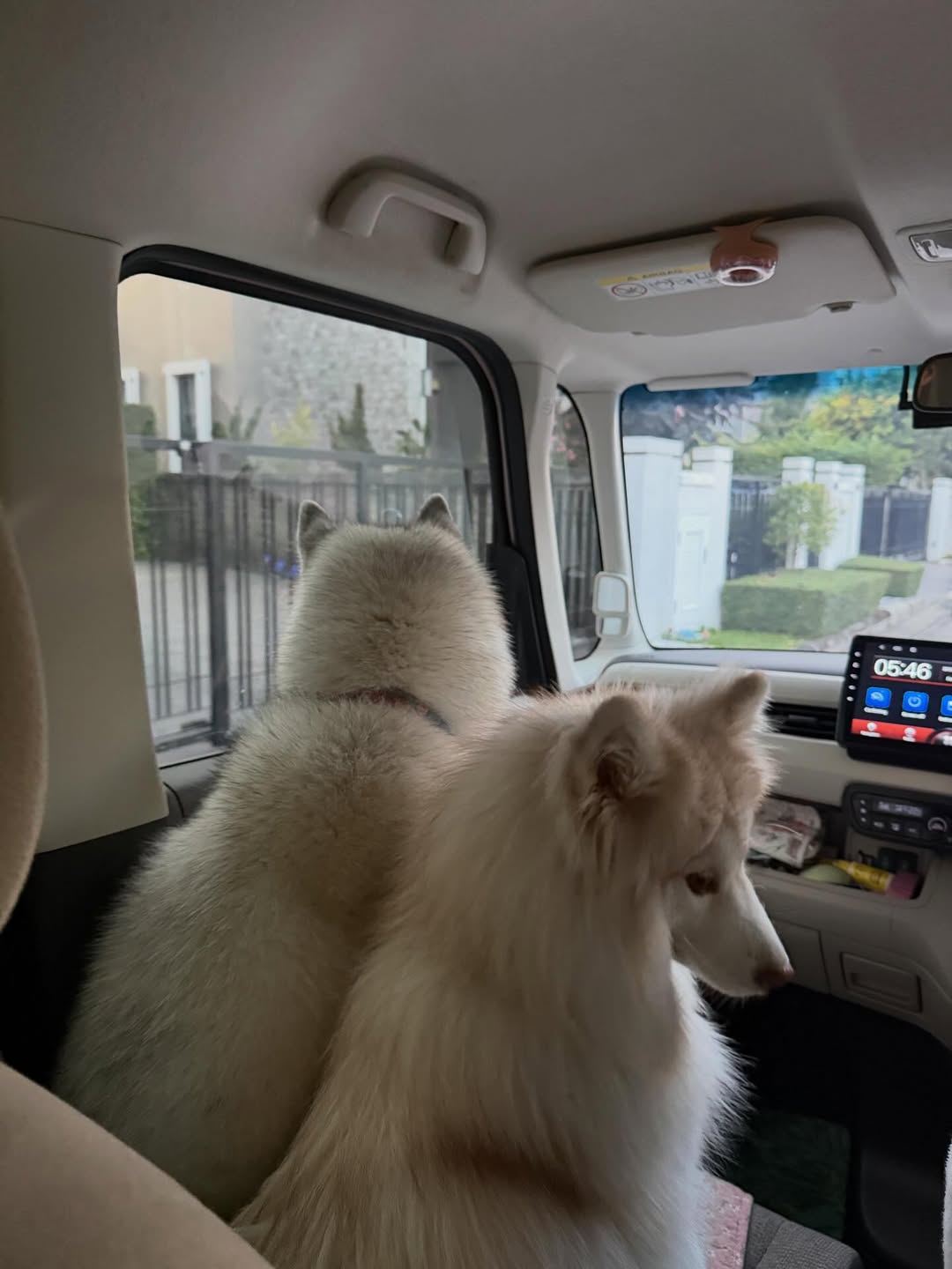 แพนเค้ก - เขมนิจ จามิกรณ์