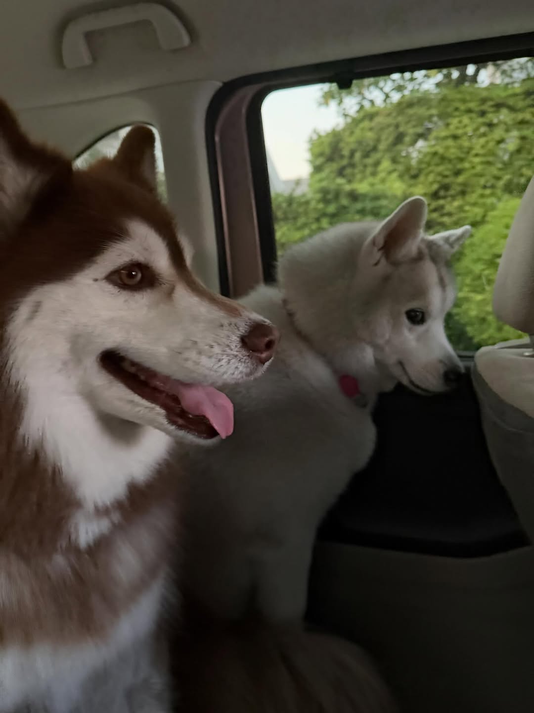 แพนเค้ก - เขมนิจ จามิกรณ์