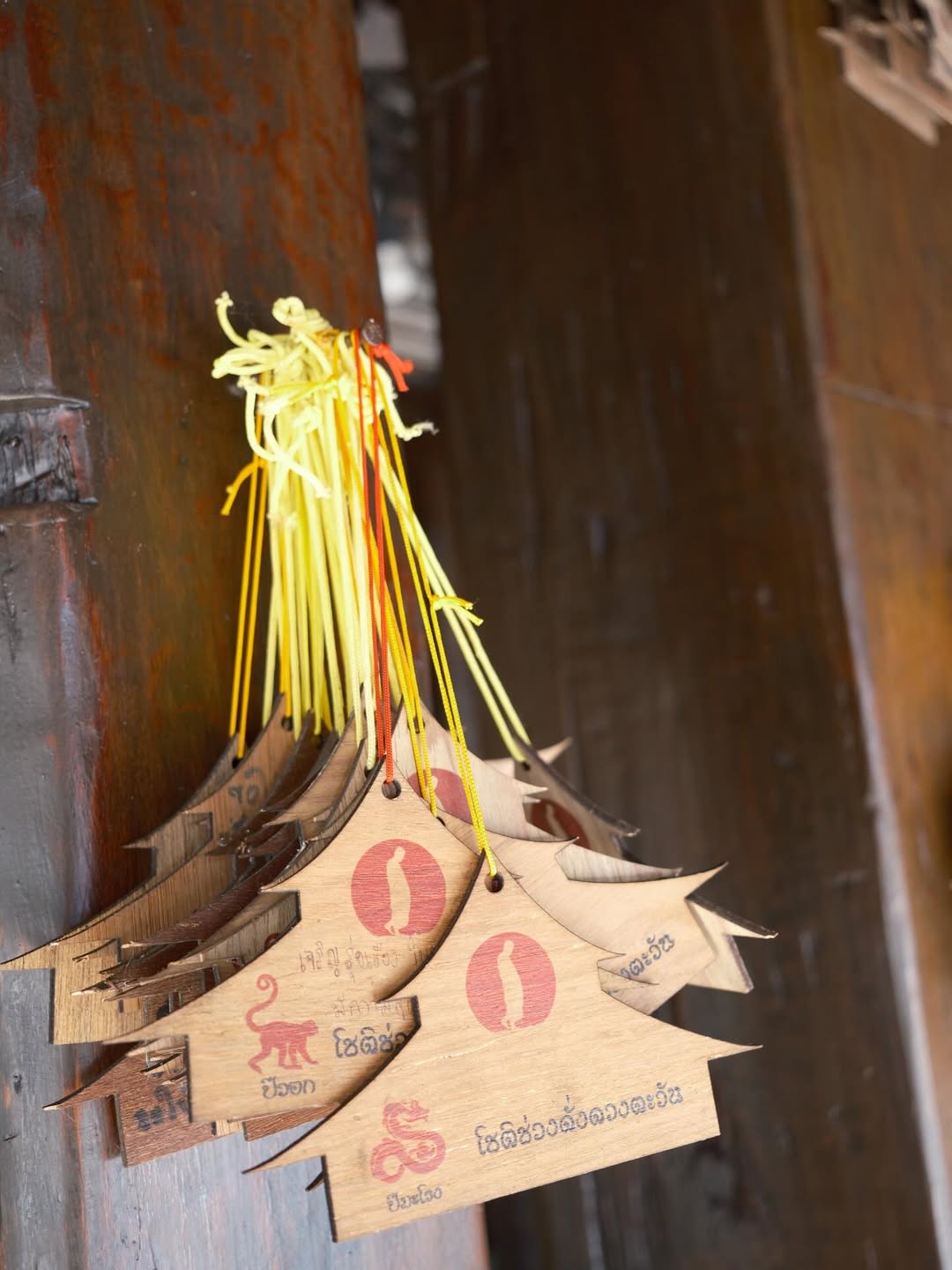 แพนเค้ก - เขมนิจ จามิกรณ์