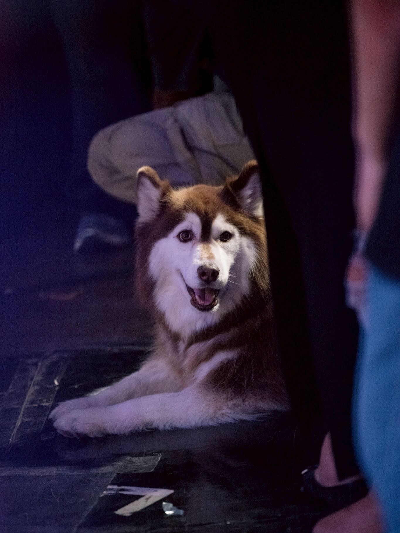 แพนเค้ก - เขมนิจ จามิกรณ์