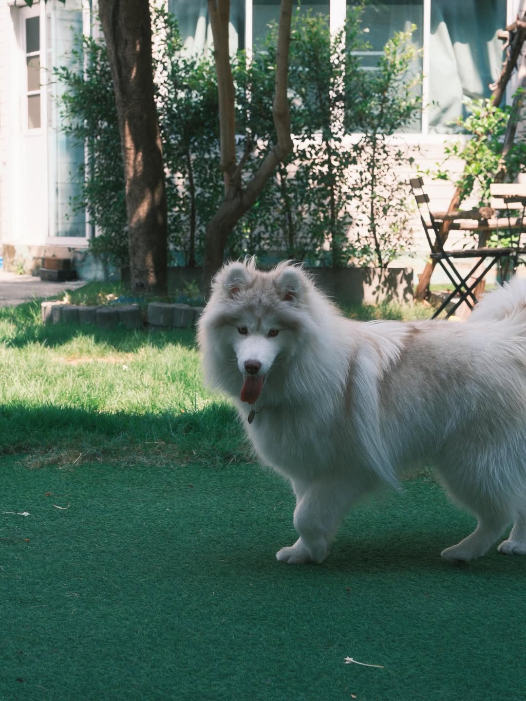 แพนเค้ก - เขมนิจ จามิกรณ์