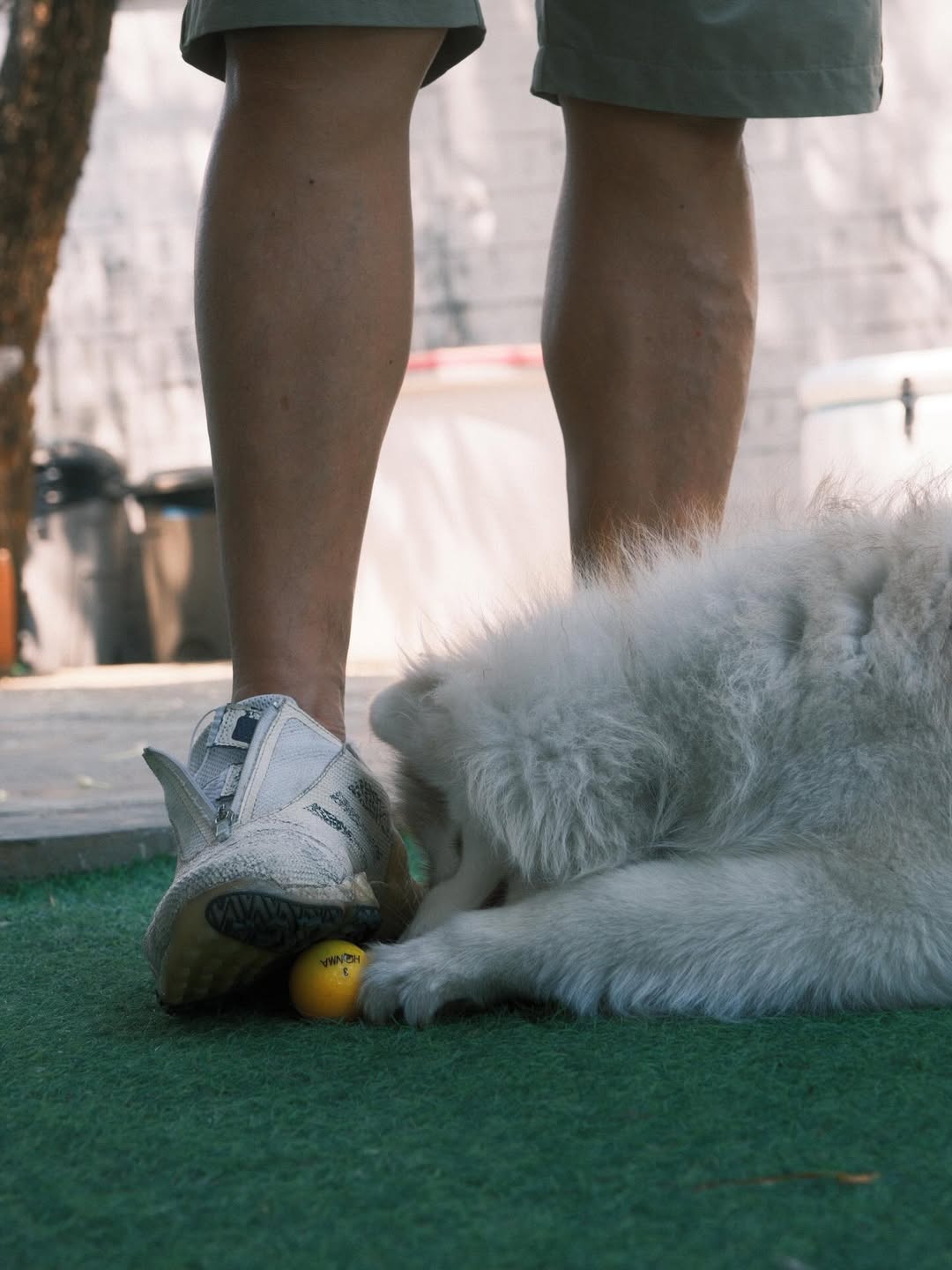 แพนเค้ก - เขมนิจ จามิกรณ์