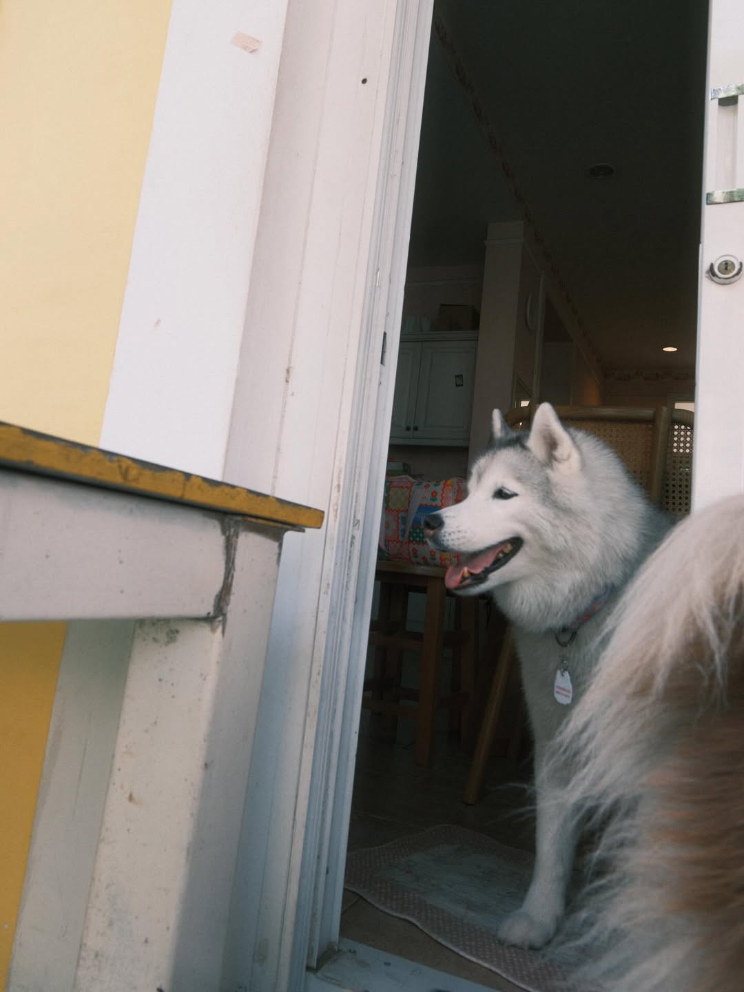 แพนเค้ก - เขมนิจ จามิกรณ์