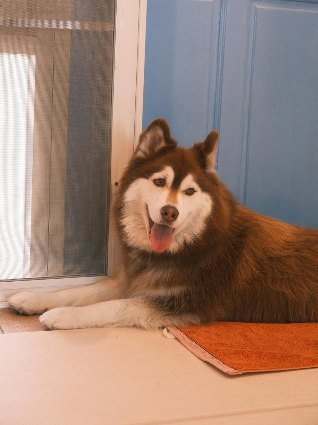 แพนเค้ก - เขมนิจ จามิกรณ์