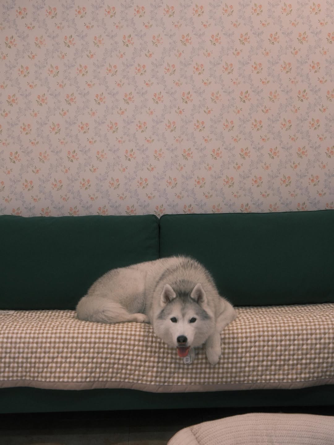 แพนเค้ก - เขมนิจ จามิกรณ์