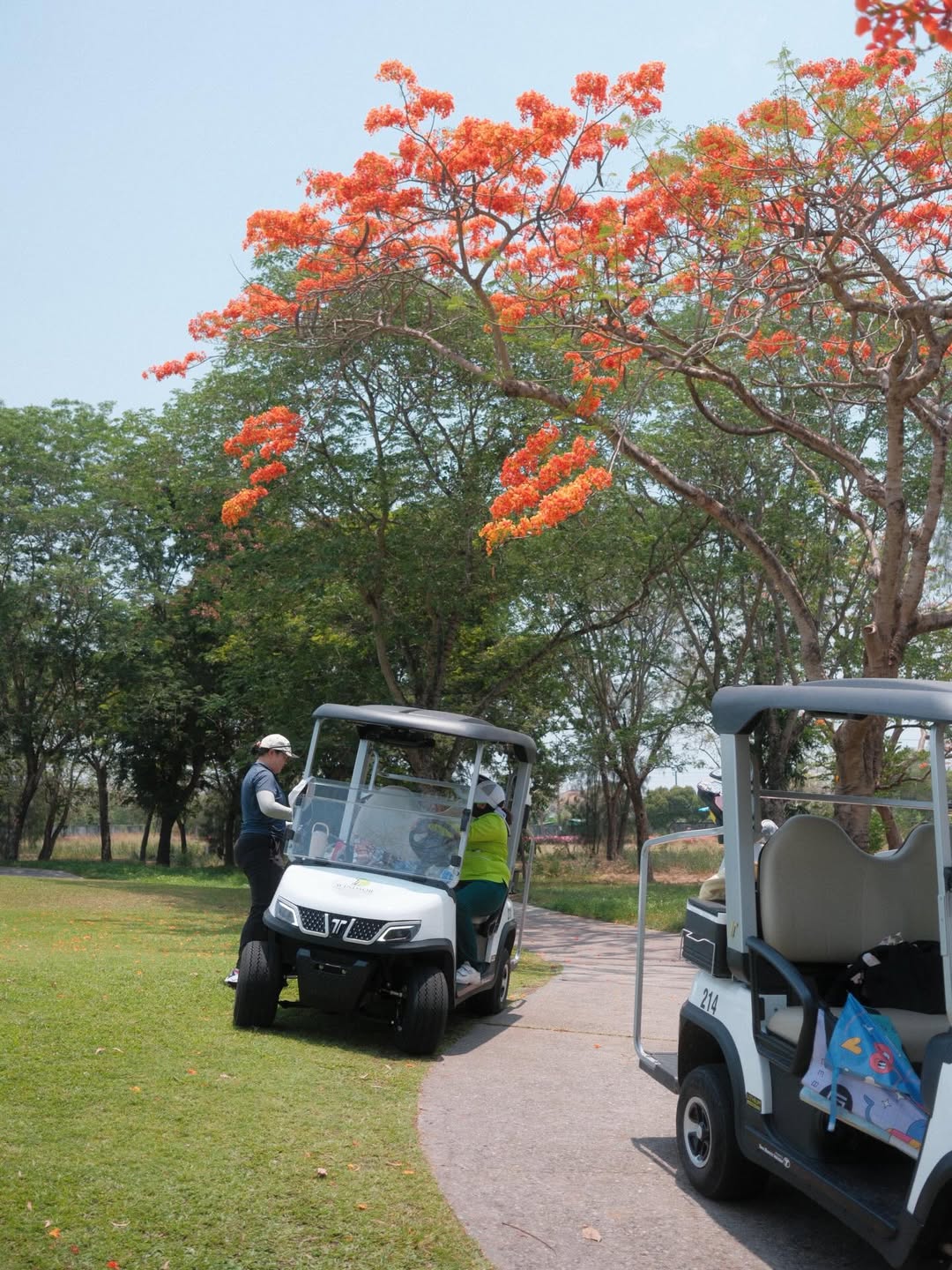 แพนเค้ก - เขมนิจ จามิกรณ์