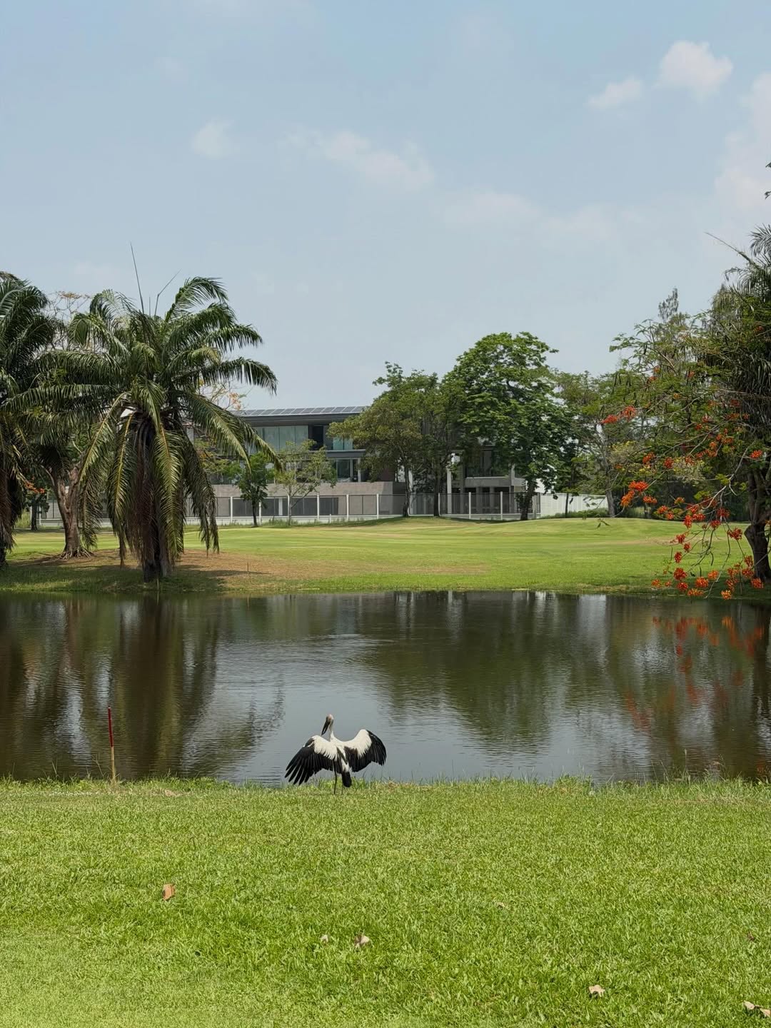 แพนเค้ก - เขมนิจ จามิกรณ์