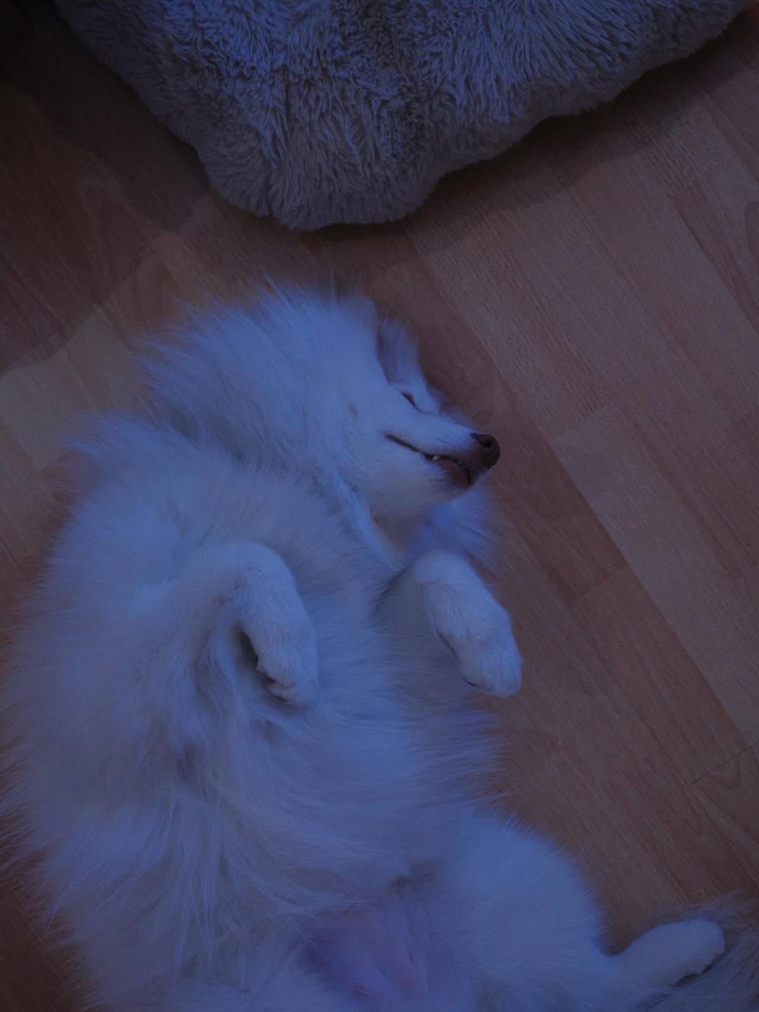 แพนเค้ก - เขมนิจ จามิกรณ์