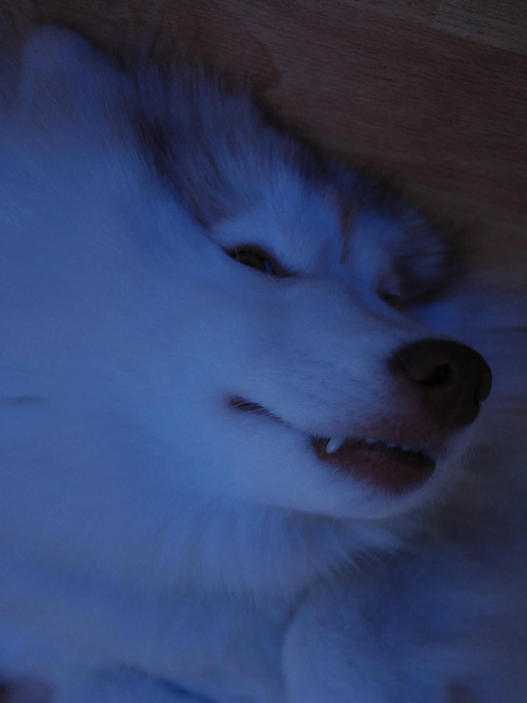 แพนเค้ก - เขมนิจ จามิกรณ์