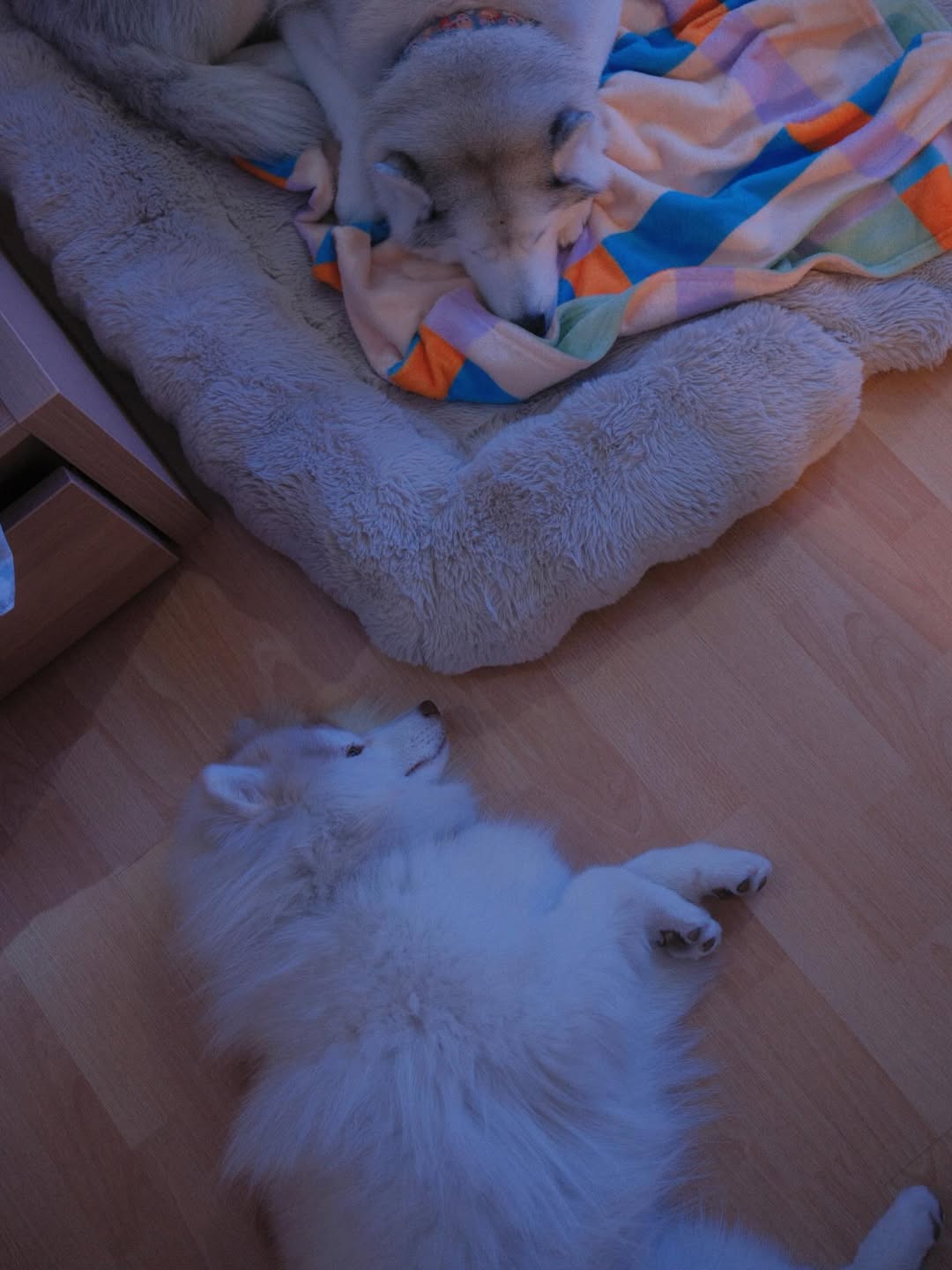 แพนเค้ก - เขมนิจ จามิกรณ์