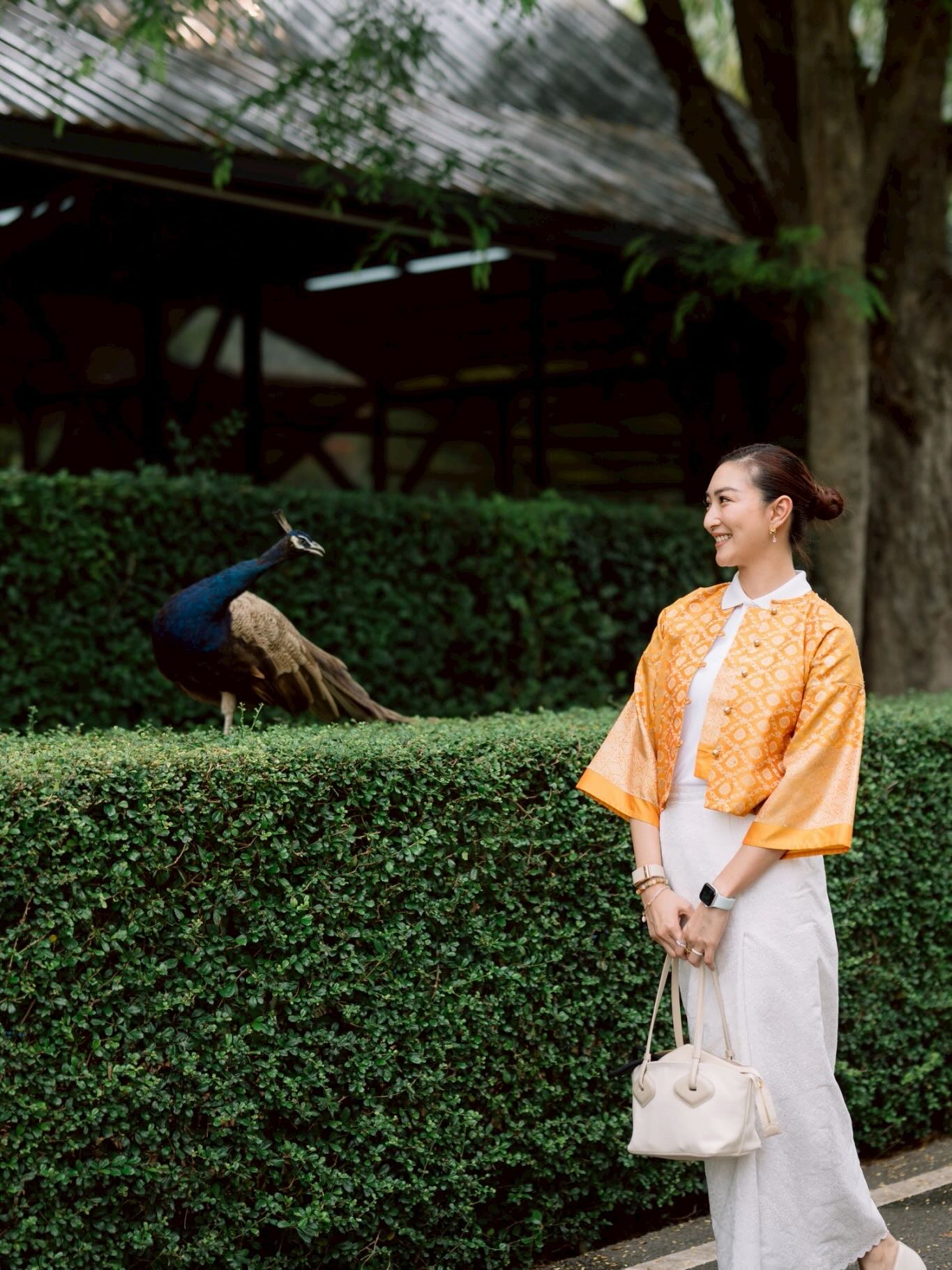 แพนเค้ก - เขมนิจ จามิกรณ์