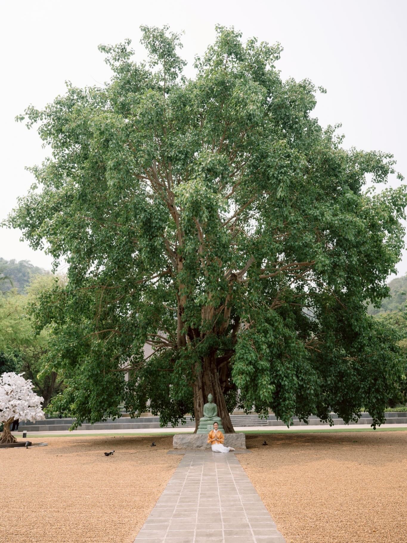 แพนเค้ก - เขมนิจ จามิกรณ์