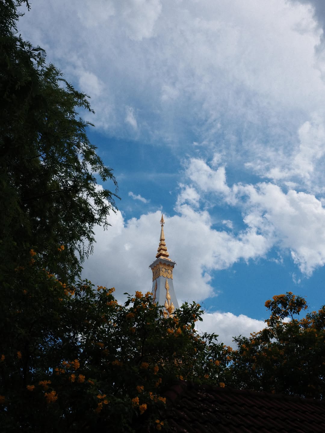 แพนเค้ก - เขมนิจ จามิกรณ์