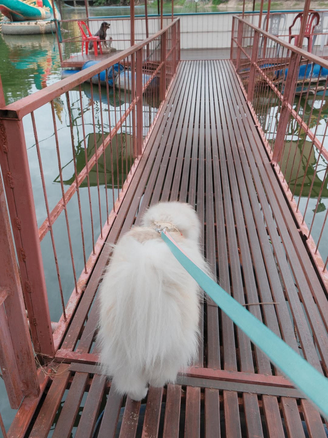 แพนเค้ก - เขมนิจ จามิกรณ์