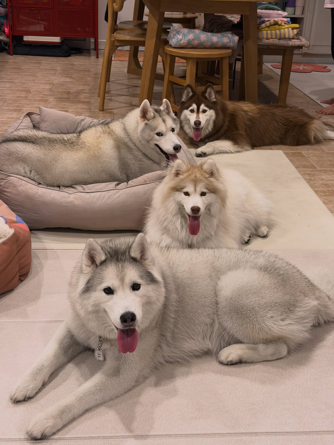 แพนเค้ก - เขมนิจ จามิกรณ์