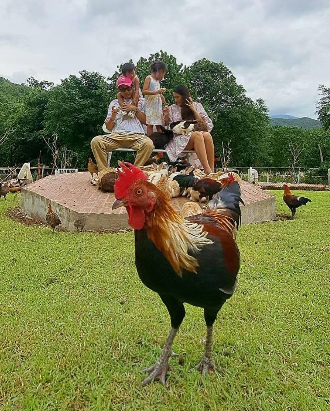 ตู่ - ภพธร สุนทรญาณกิจ
