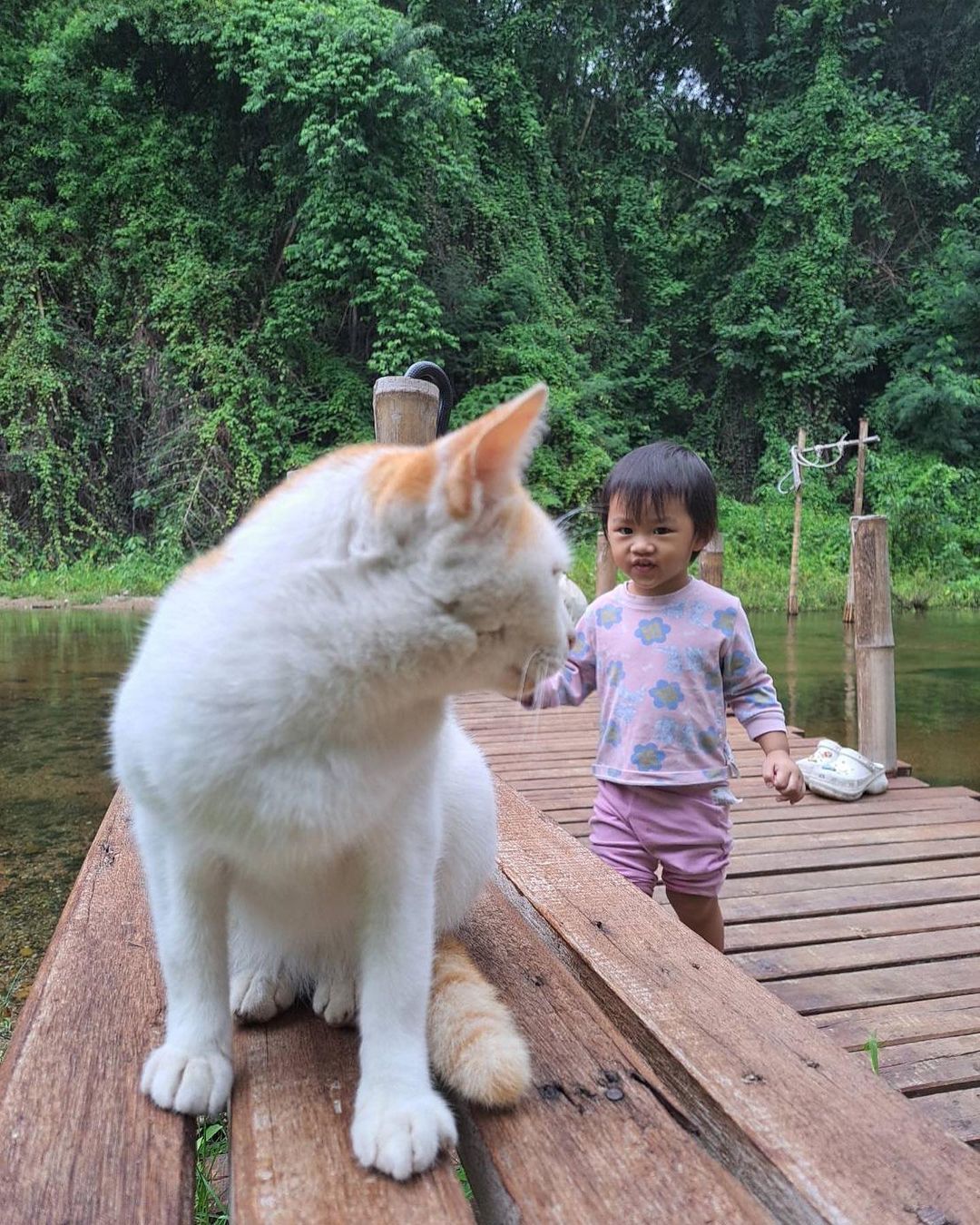 ตู่ - ภพธร สุนทรญาณกิจ