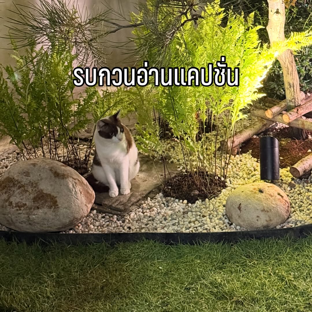 ตู่ - ภพธร สุนทรญาณกิจ