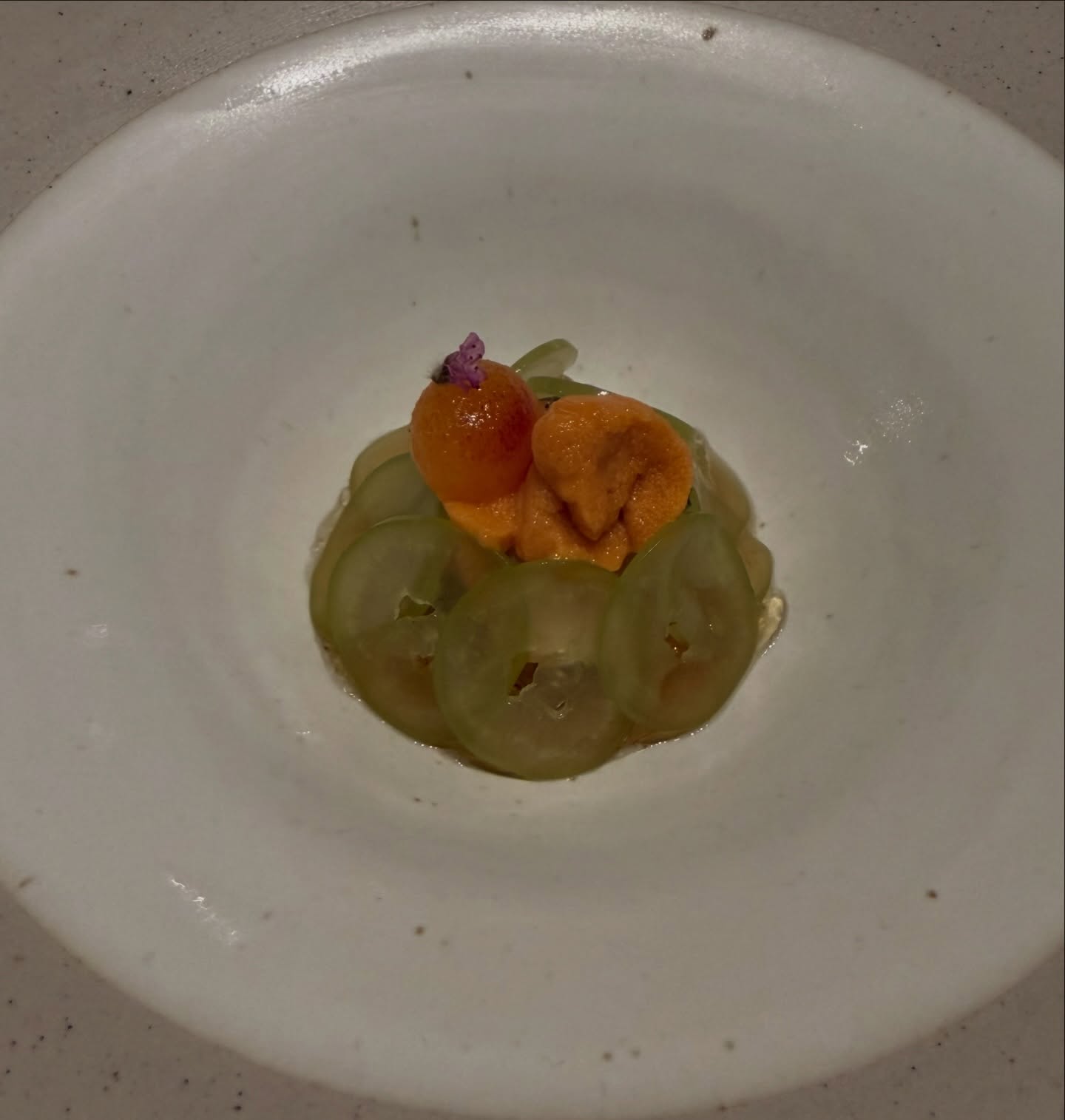 ตู่ - ภพธร สุนทรญาณกิจ