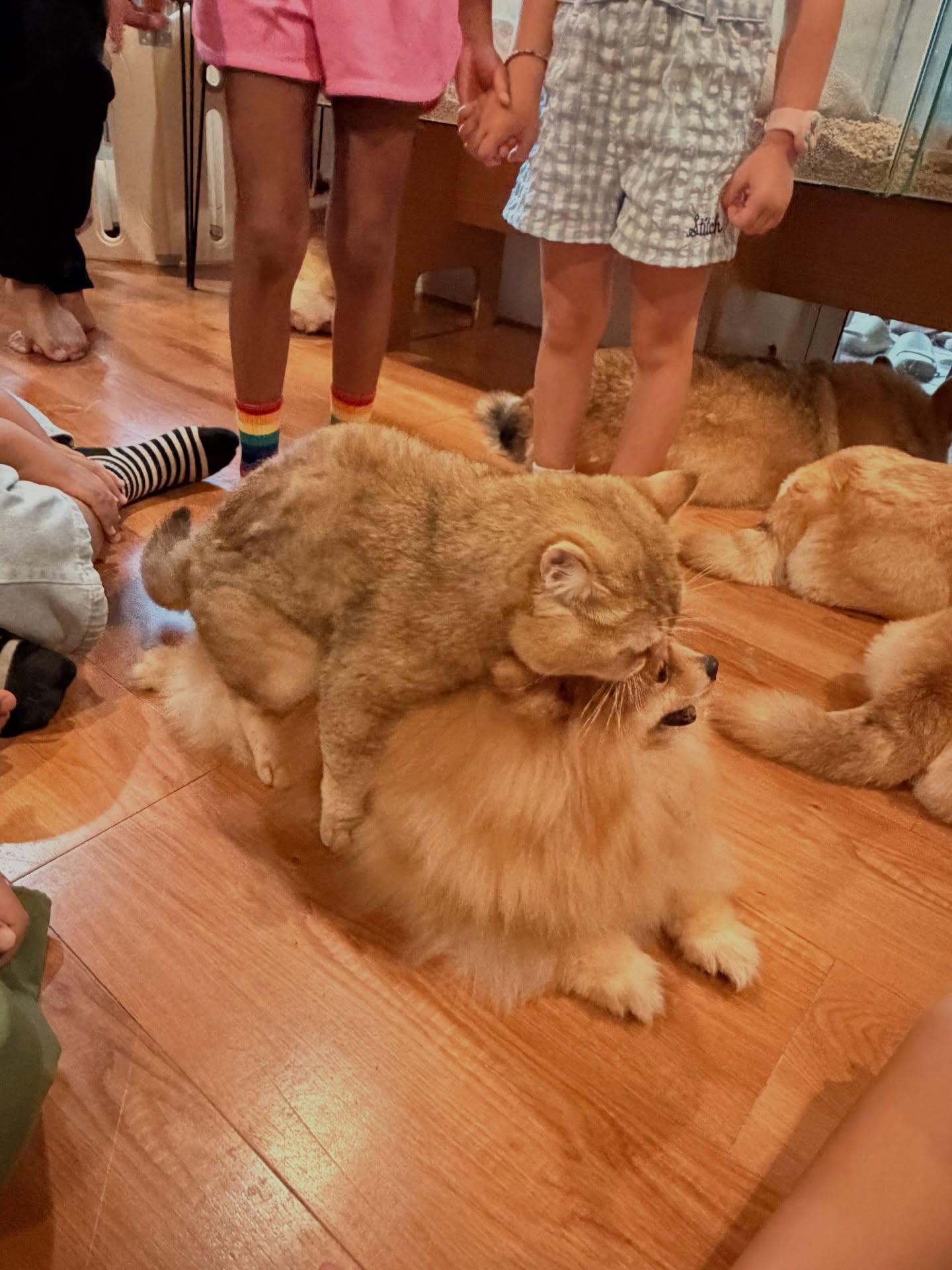 ตู่ - ภพธร สุนทรญาณกิจ