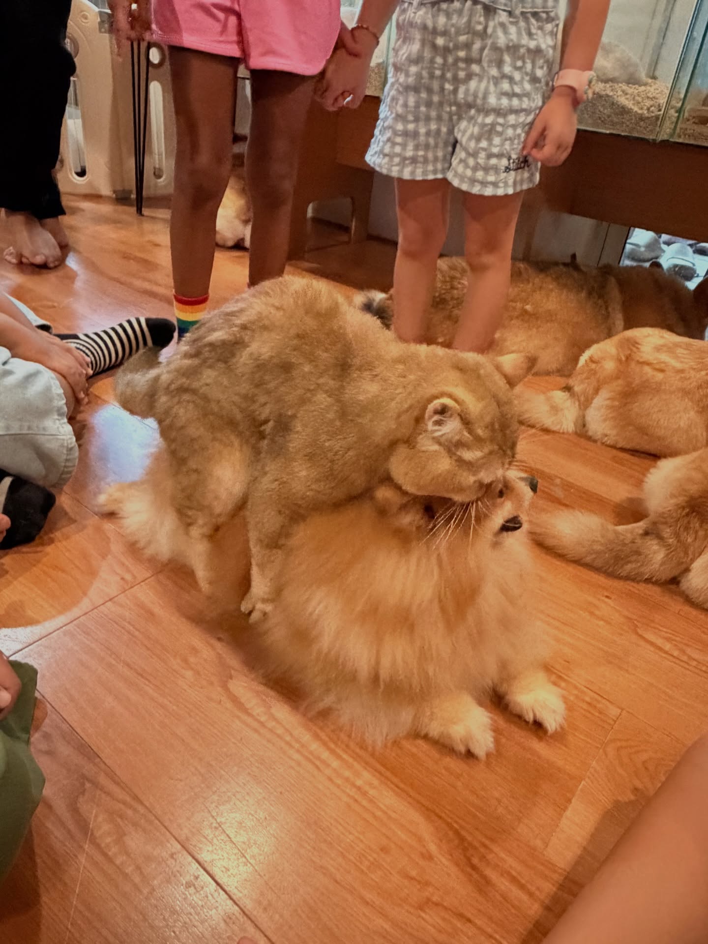 ตู่ - ภพธร สุนทรญาณกิจ