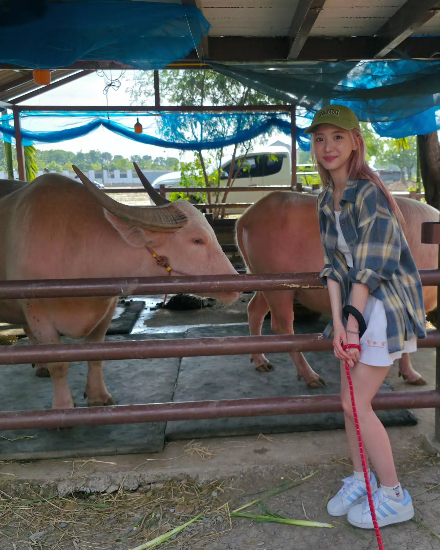 เนเน่ - พรนับพัน พรเพ็ญพิพัฒน์