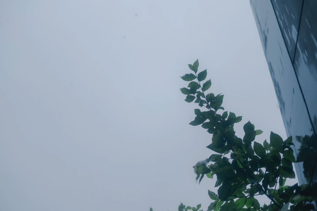 เนเน่ - พรนับพัน พรเพ็ญพิพัฒน์