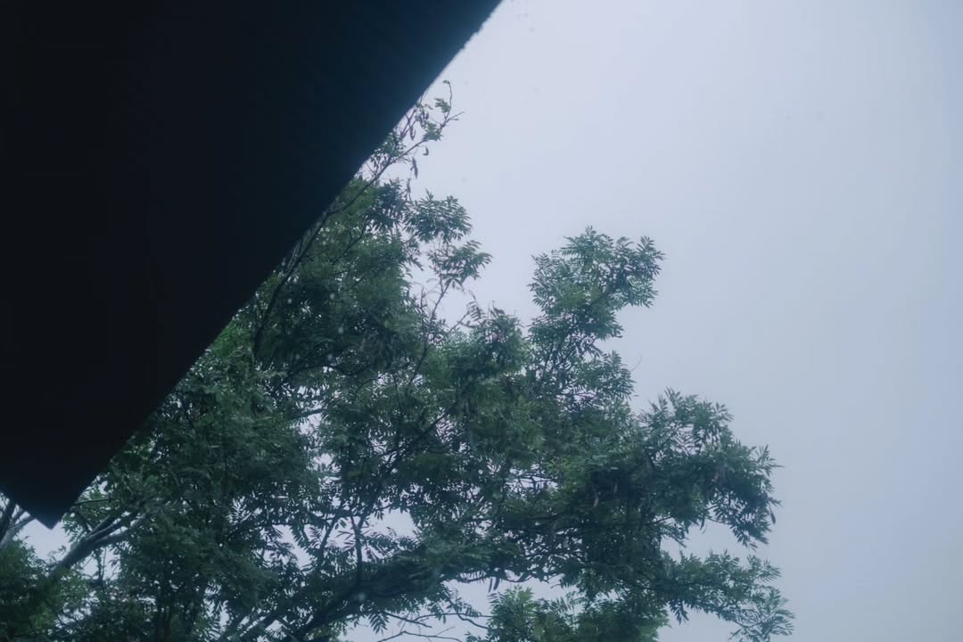 เนเน่ - พรนับพัน พรเพ็ญพิพัฒน์
