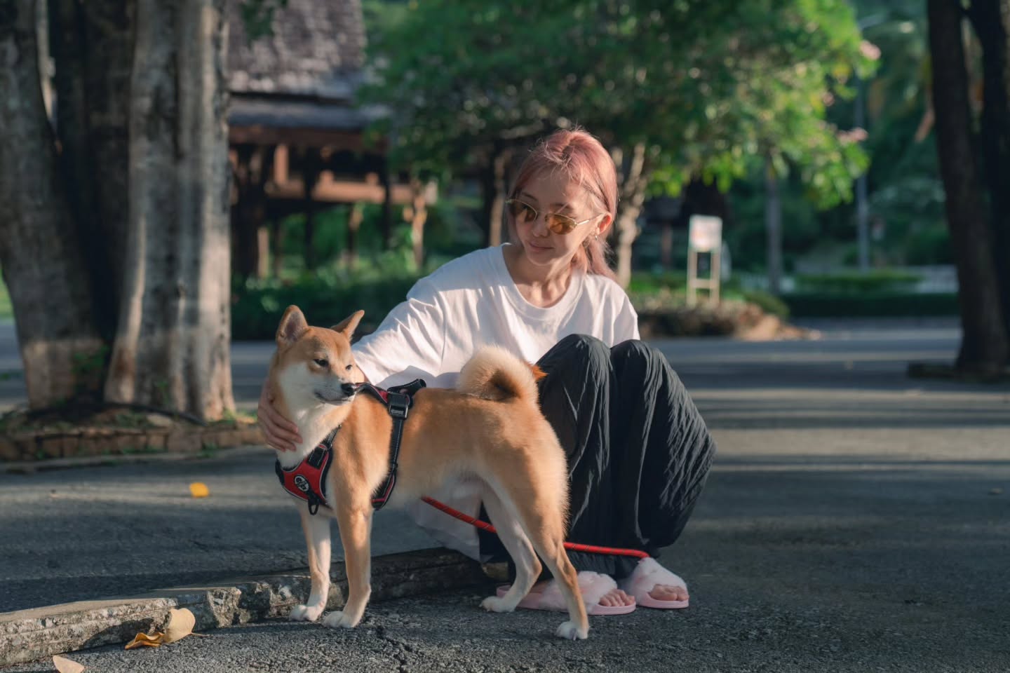 เนเน่ - พรนับพัน พรเพ็ญพิพัฒน์