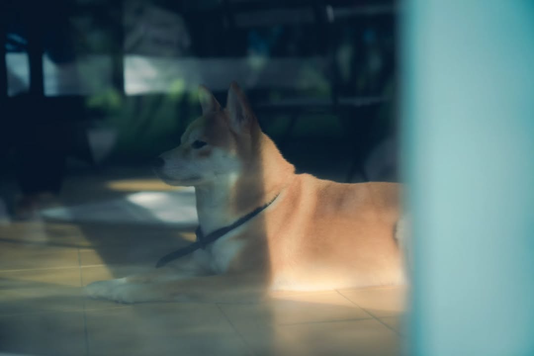 เนเน่ - พรนับพัน พรเพ็ญพิพัฒน์