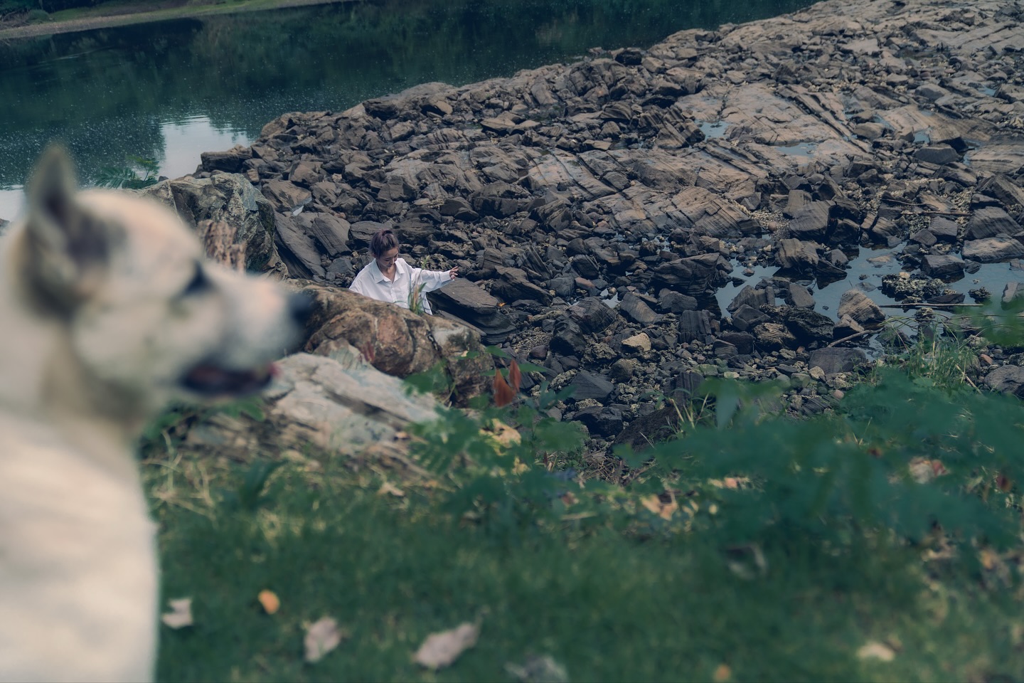 เนเน่ - พรนับพัน พรเพ็ญพิพัฒน์