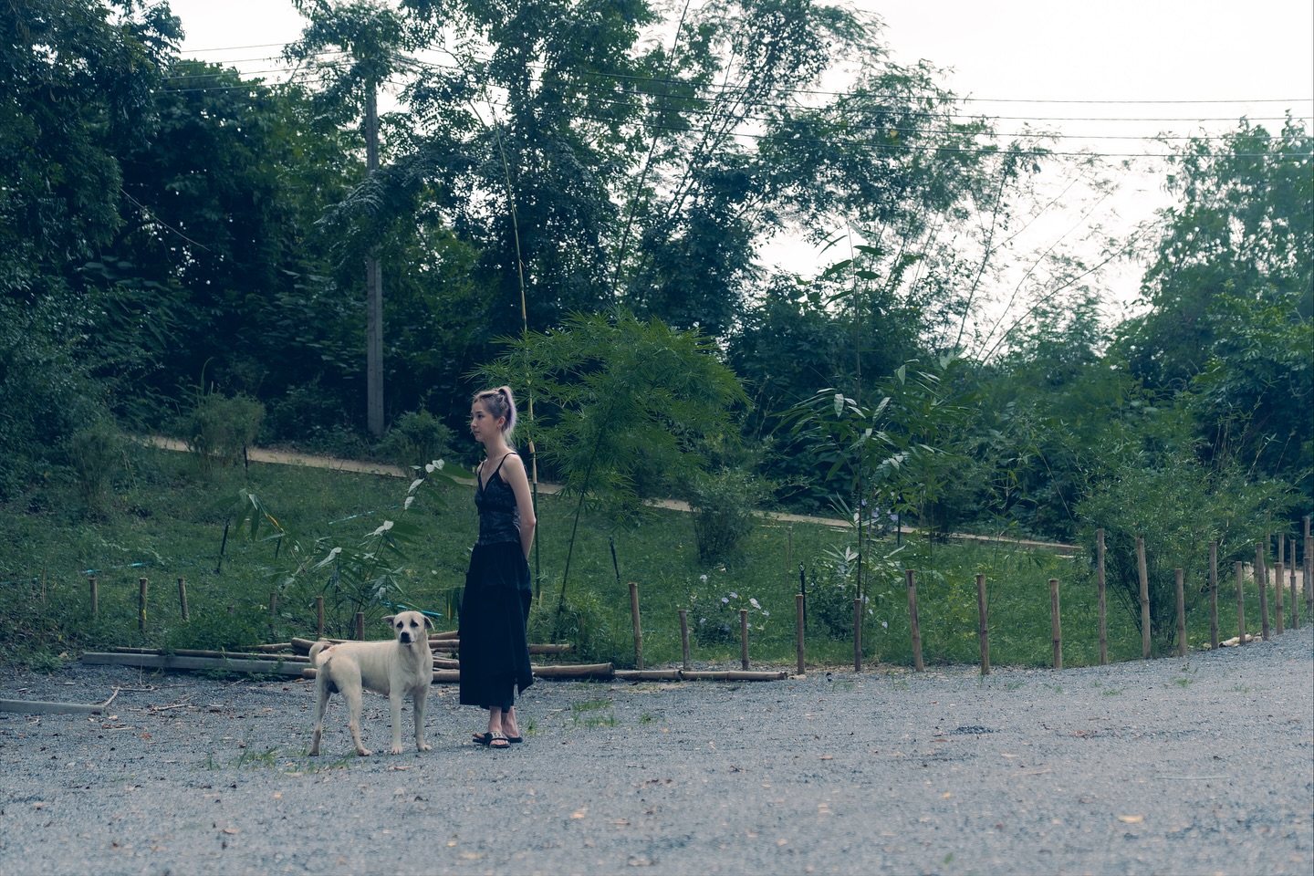 เนเน่ - พรนับพัน พรเพ็ญพิพัฒน์