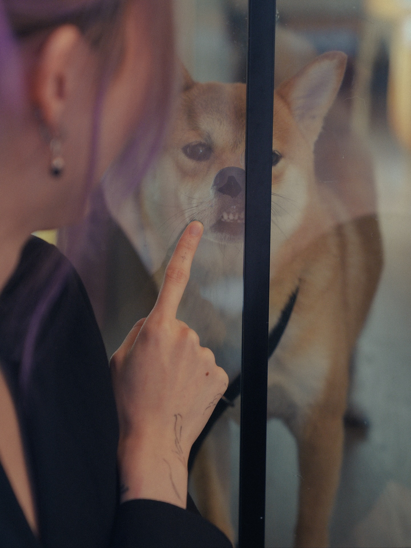 เนเน่ - พรนับพัน พรเพ็ญพิพัฒน์