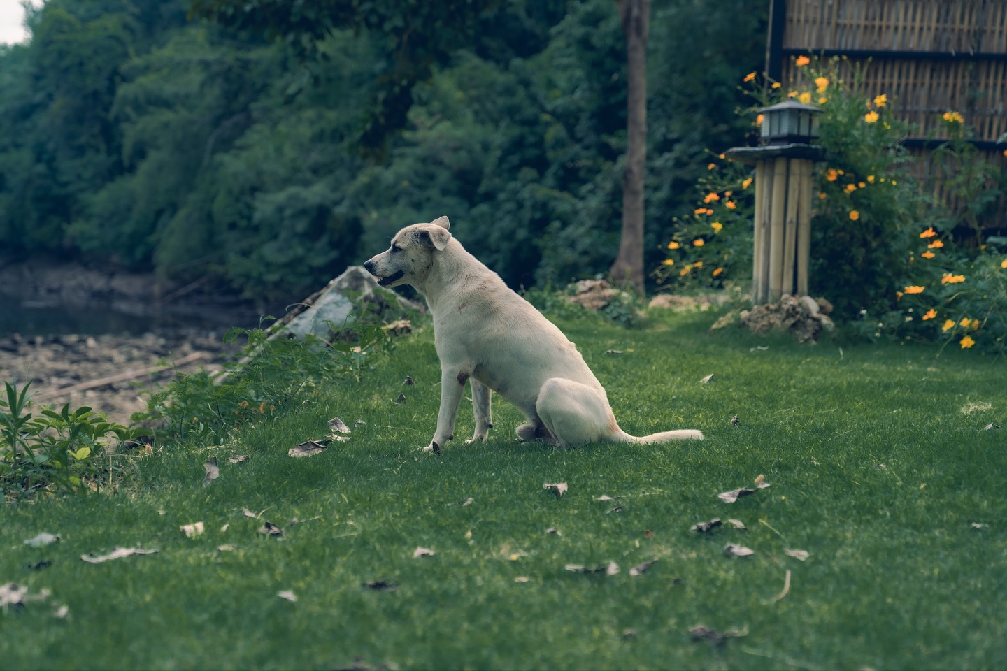 เนเน่ - พรนับพัน พรเพ็ญพิพัฒน์