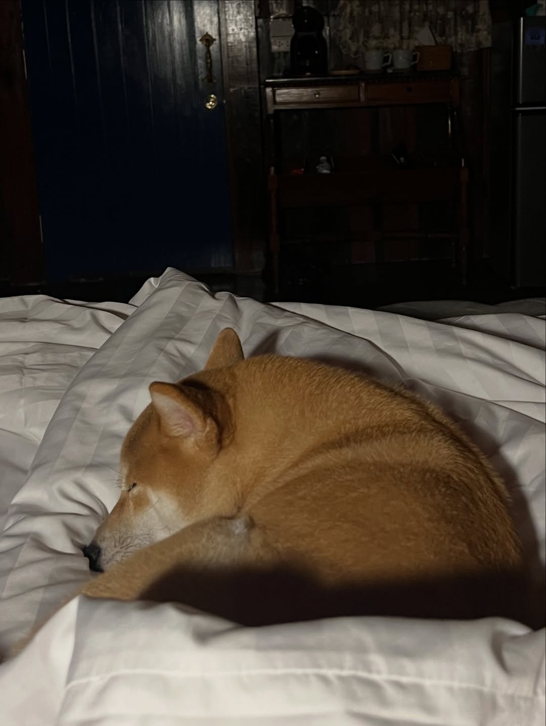 เนเน่ - พรนับพัน พรเพ็ญพิพัฒน์